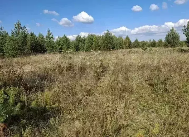 Участок в Свердловская область, Верхняя Пышма городской округ, с. ... - Фото 2