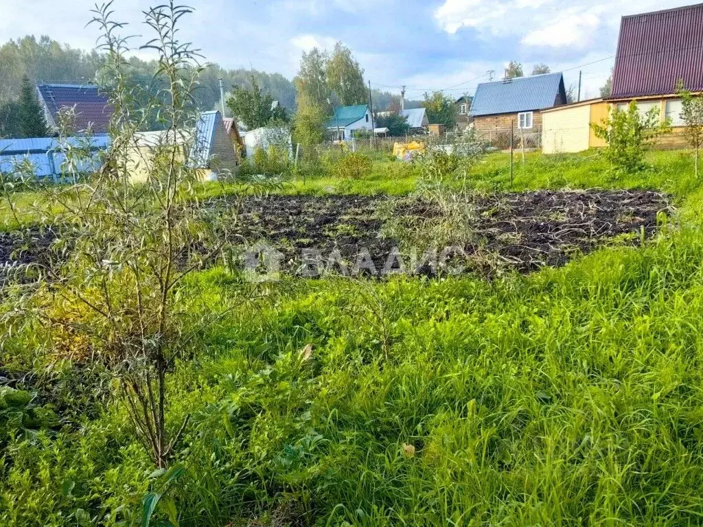 Участок в Новосибирская область, Новосибирский район, Мичуринский ... - Фото 0