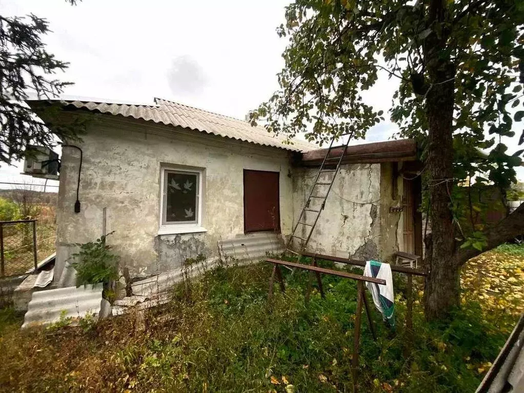 Дом в Сабынино, Свободная улица, 4 (47 м) - Фото 1