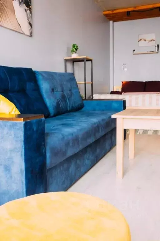 1-к кв. Псковская область, Псковский район, Завеличенская волость, д. ... - Фото 2