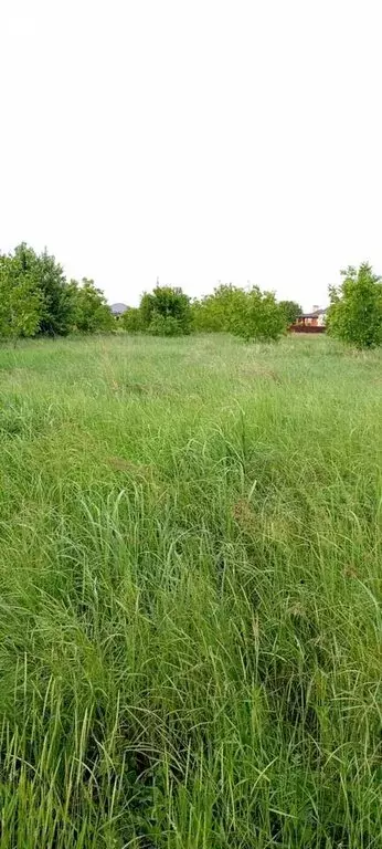 Участок в станица Новотитаровская, улица Покрышкина (5.3 м) - Фото 1