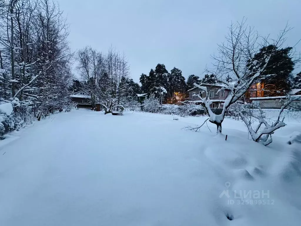 Участок в Санкт-Петербург, Санкт-Петербург, Сестрорецк 9-я линия, 13 ... - Фото 1