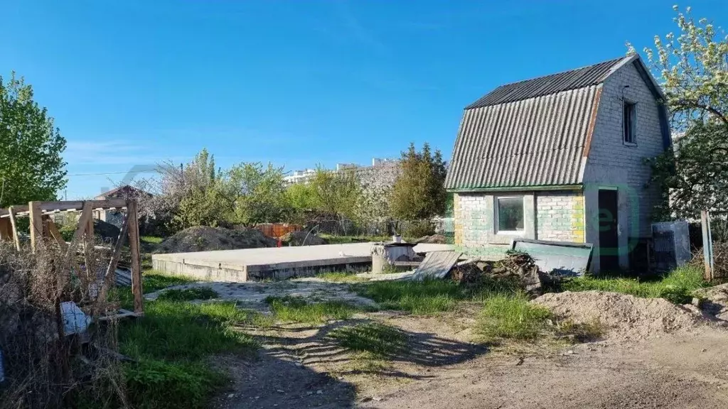 Участок в Калининградская область, Калининград Дружба-Девау СТ, пер. ... - Фото 2