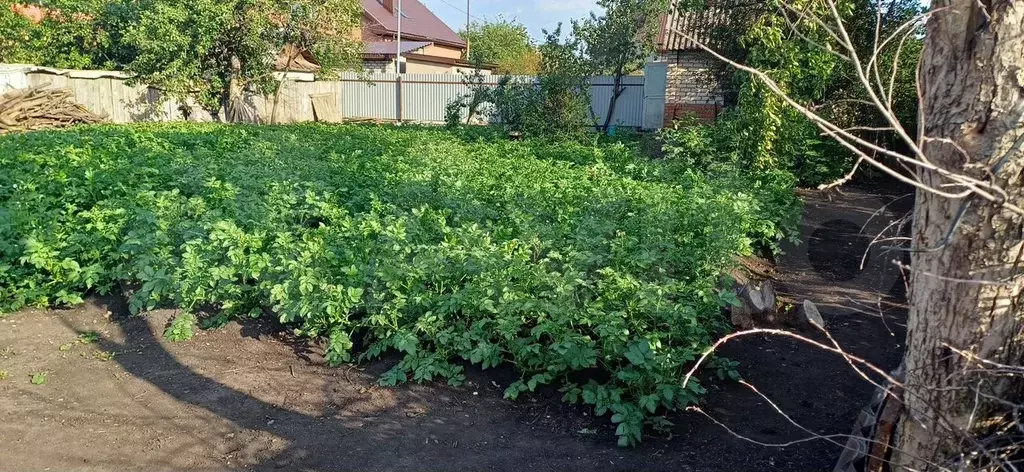 Участок 4,5 сот. (СНТ, ДНП) - Фото 0