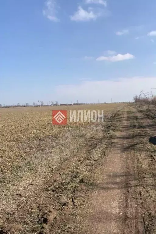 Участок в Крым, Симферопольский район, Николаевка пгт ул. ... - Фото 1