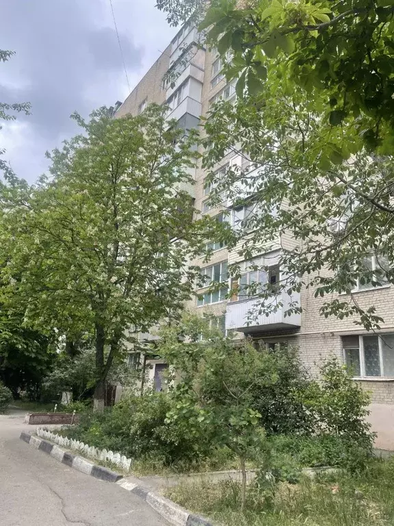 1-к кв. Ростовская область, Ростов-на-Дону Западный мкр, просп. ... - Фото 0