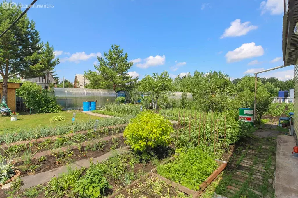 Участок в Любинский район, СНТСН Омичка, 10-я аллея (607 м) - Фото 1