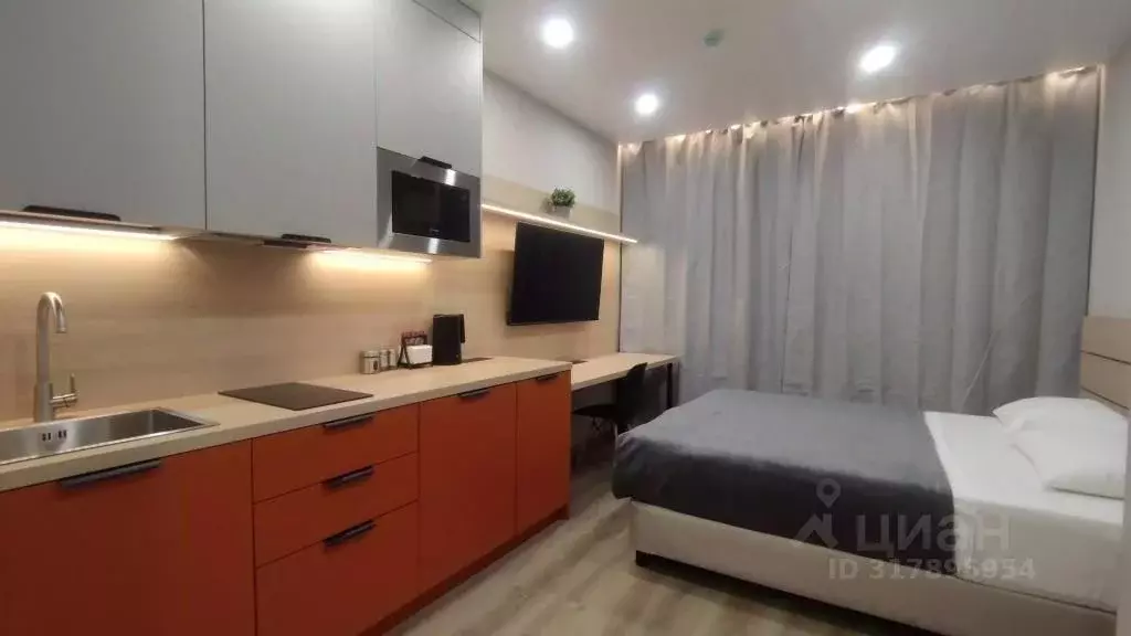 1-к кв. Санкт-Петербург бул. Измайловский, 1к2 (20.0 м) - Фото 1