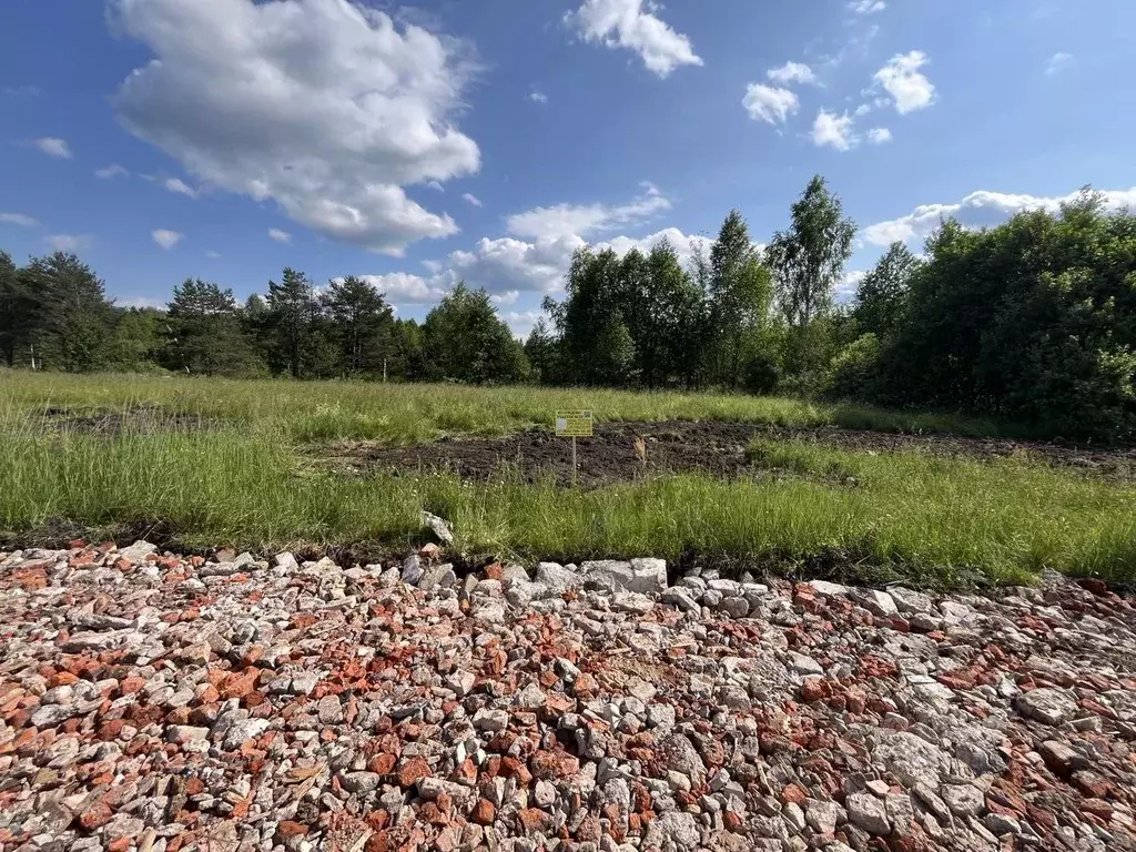 Участок в Московская область, Богородский городской округ, Следово кп ... - Фото 2