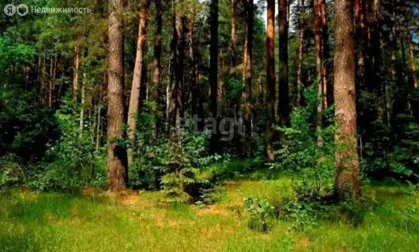 Участок в Томск, садовое товарищество Виктория (8.8 м) - Фото 1