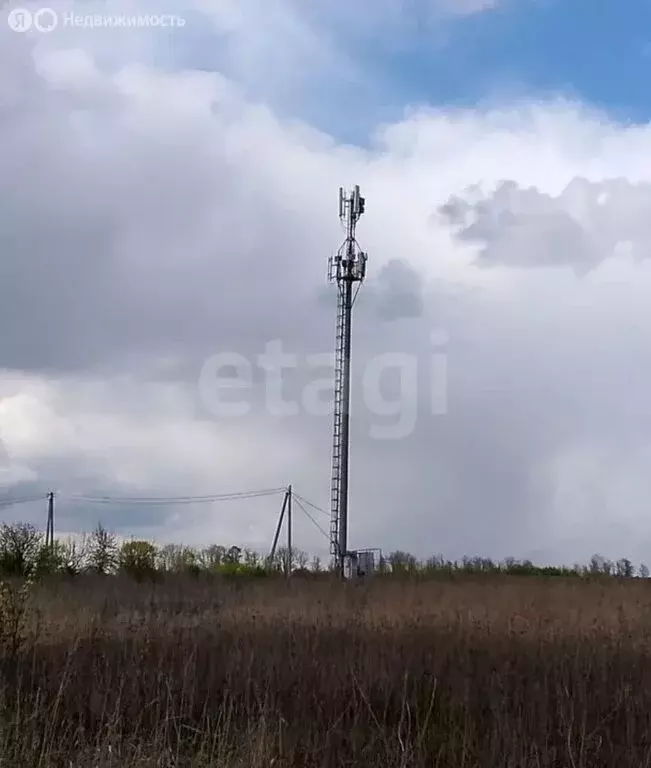 Участок в село Иевлево, слобода Бодаево (100 м) - Фото 2
