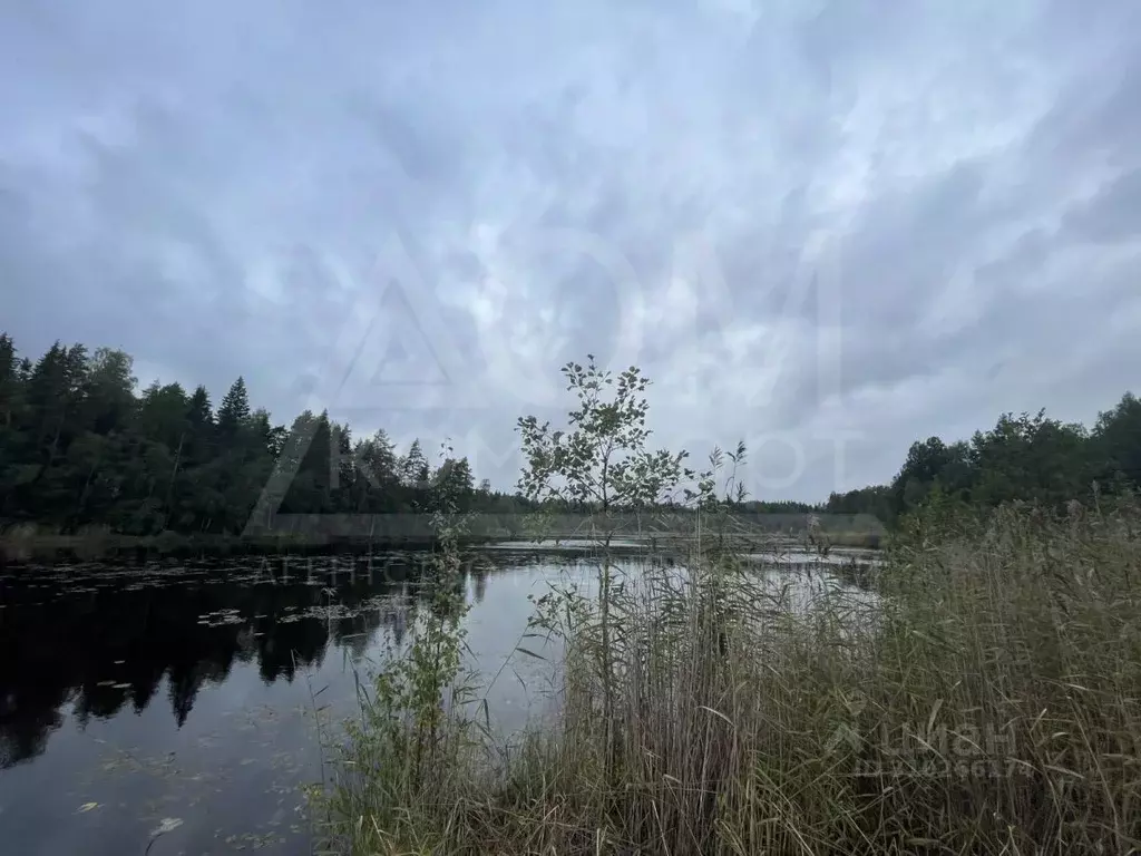 Участок в Ленинградская область, Приозерское городское поселение, пос. ... - Фото 1