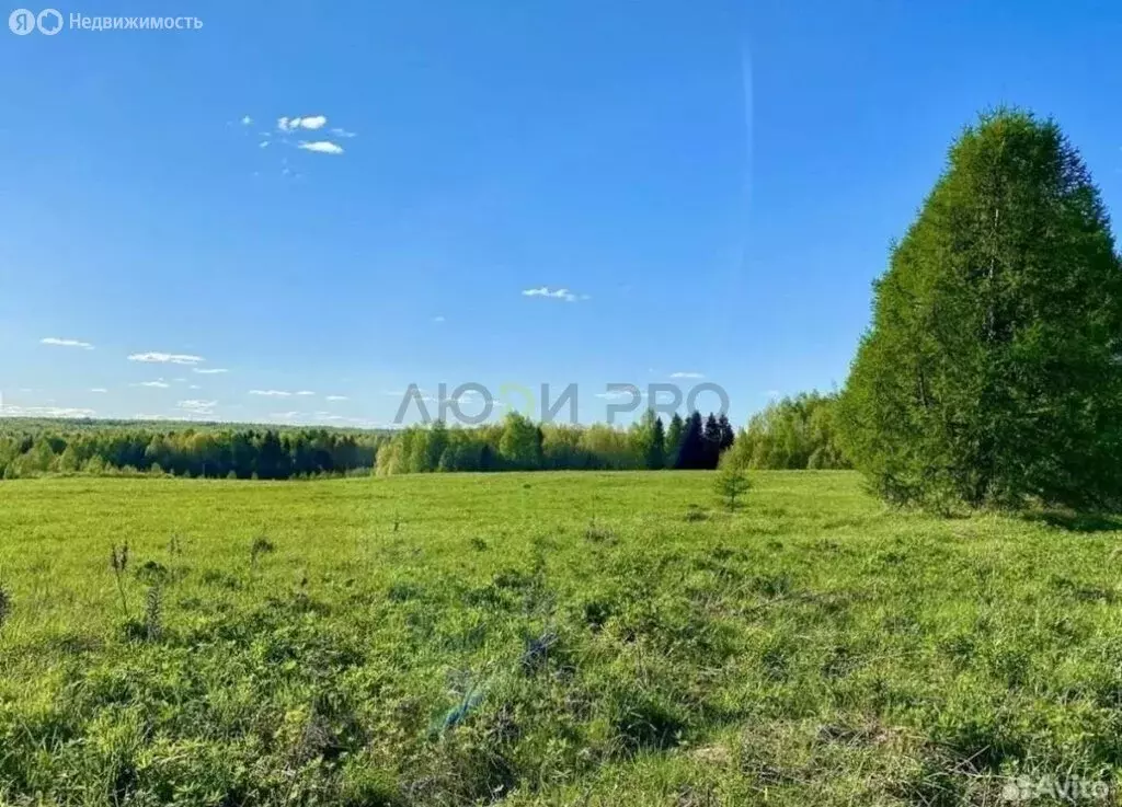 Участок в Завьяловский район, деревня Русский Вожой (11.5 м) - Фото 1