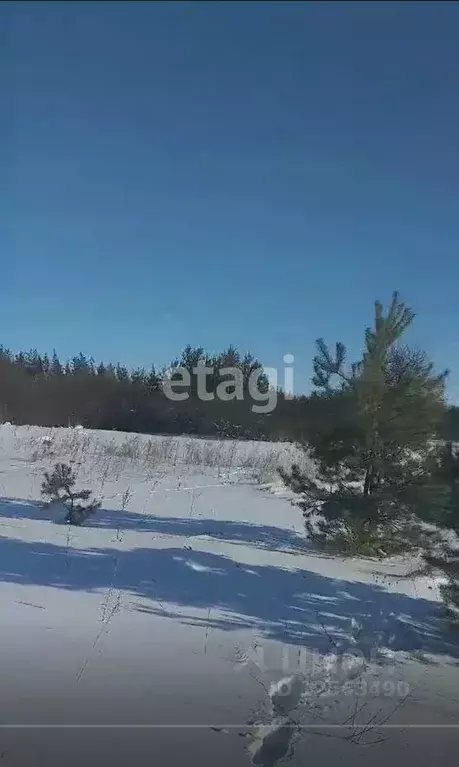 Участок в Воронежская область, с. Новая Усмань ул. Октябрьская (12.0 ... - Фото 1