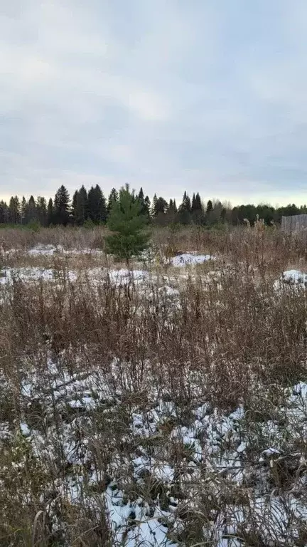 Участок в Пермский край, Краснокамский городской округ, пос. Ласьва  ... - Фото 1