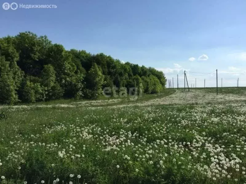 Участок в Тукаевский район, Биюрганское сельское поселение, деревня ... - Фото 0