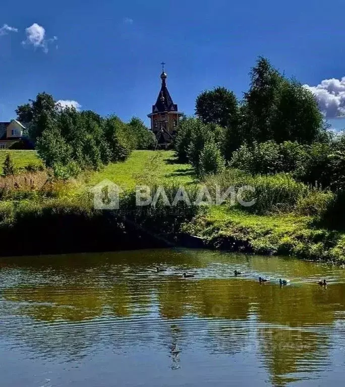 Участок в Нижегородская область, Нижний Новгород д. Сартаково,  (5.1 ... - Фото 1