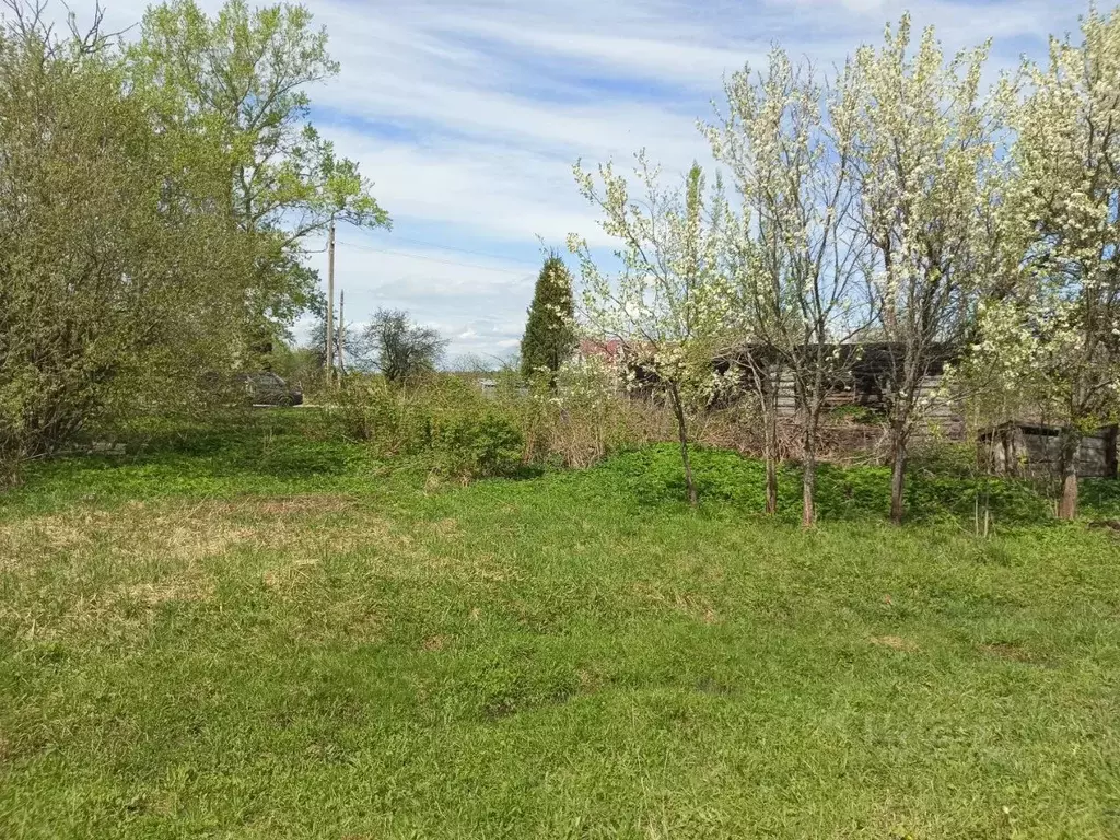 Участок в Калужская область, Козельский район, Киреевское-Первое ... - Фото 2