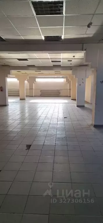 Торговая площадь в Пермский край, Пермь Соликамская ул., 271А (300 м) - Фото 2