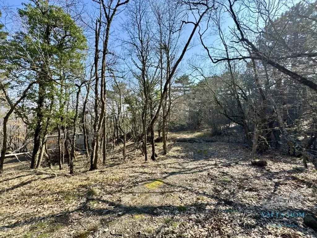 Участок в Крым, Ялта  (23.0 сот.) - Фото 1