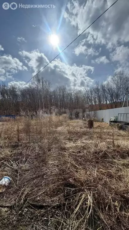 Участок в Благовещенск, СНТ Рябинка (10.6 м) - Фото 1