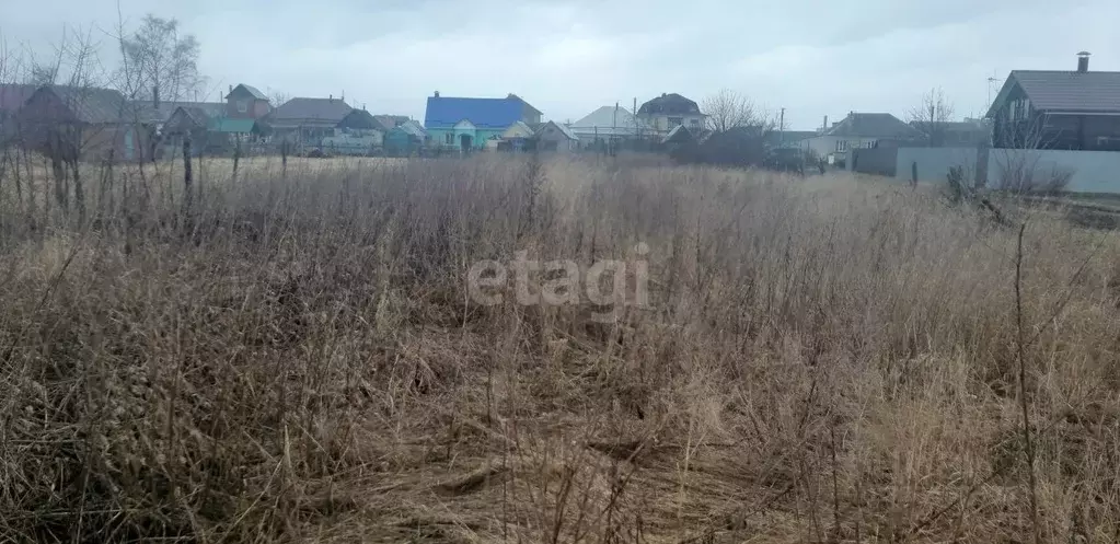 Участок в Воронежская область, Новоусманский район, с. Бабяково ... - Фото 1