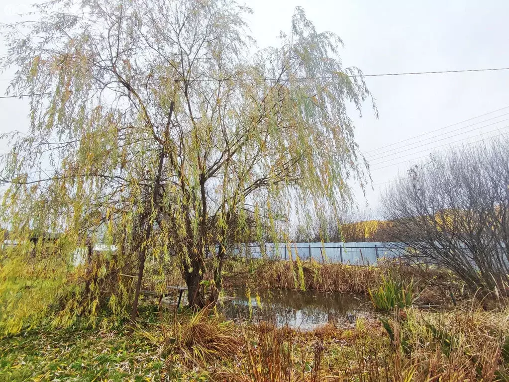 Дом в Московская область, городской округ Серпухов, деревня Борисово ... - Фото 2