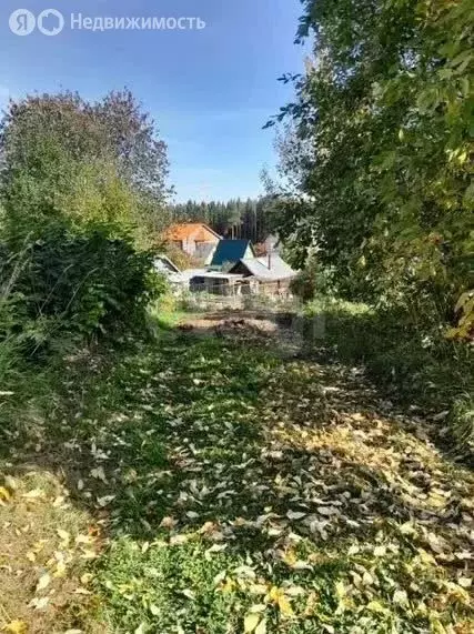 Участок в Сыктывкар, территория Дырносский, СТ Коммунальник (5.7 м) - Фото 2