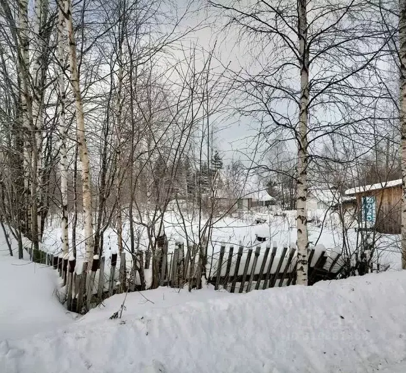 Участок в Коми, Сыктывдинский район, Выльгорт муниципальное ... - Фото 1