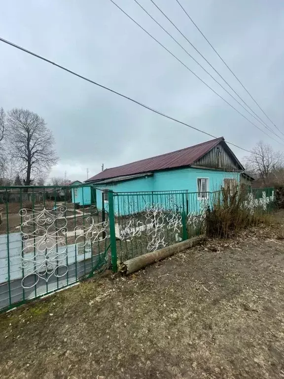 Дом в Тульская область, Ефремовский муниципальный округ, д. Кытино ул. ... - Фото 1