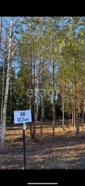 Участок в Московская область, Ступино городской округ, Кравцово-3 тер. ... - Фото 2