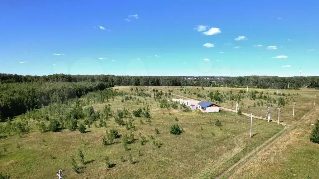 Участок в Курганская область, Кетовский муниципальный округ, ... - Фото 1