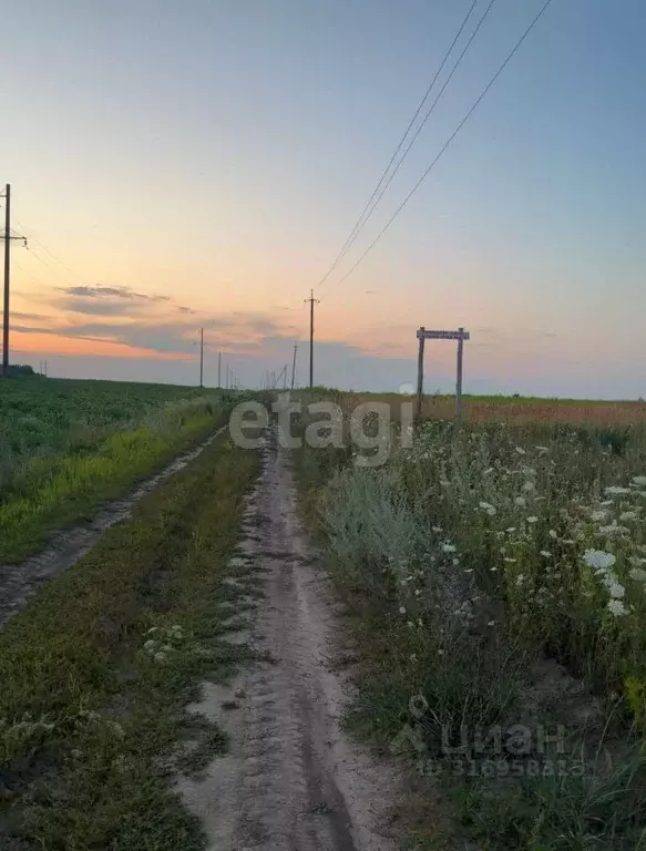Участок в Курская область, Курский район, Моковский сельсовет, д. 1-я ... - Фото 0
