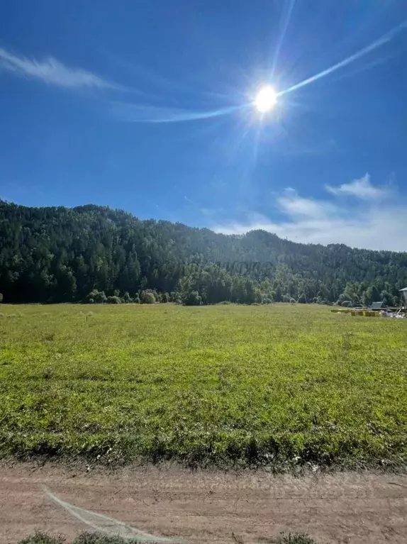 Участок в Алтай, Чемальский район, с. Турбаза Катунь ул. Новосибирская ... - Фото 2