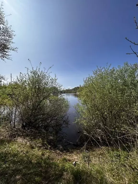 Участок в Вологодская область, Вологда Железнодорожник садоводческое ... - Фото 1