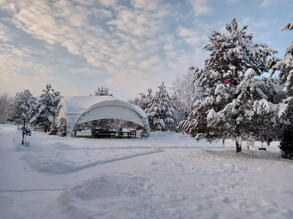 Комната Ярославская область, Брейтовский муниципальный округ, с. ... - Фото 1