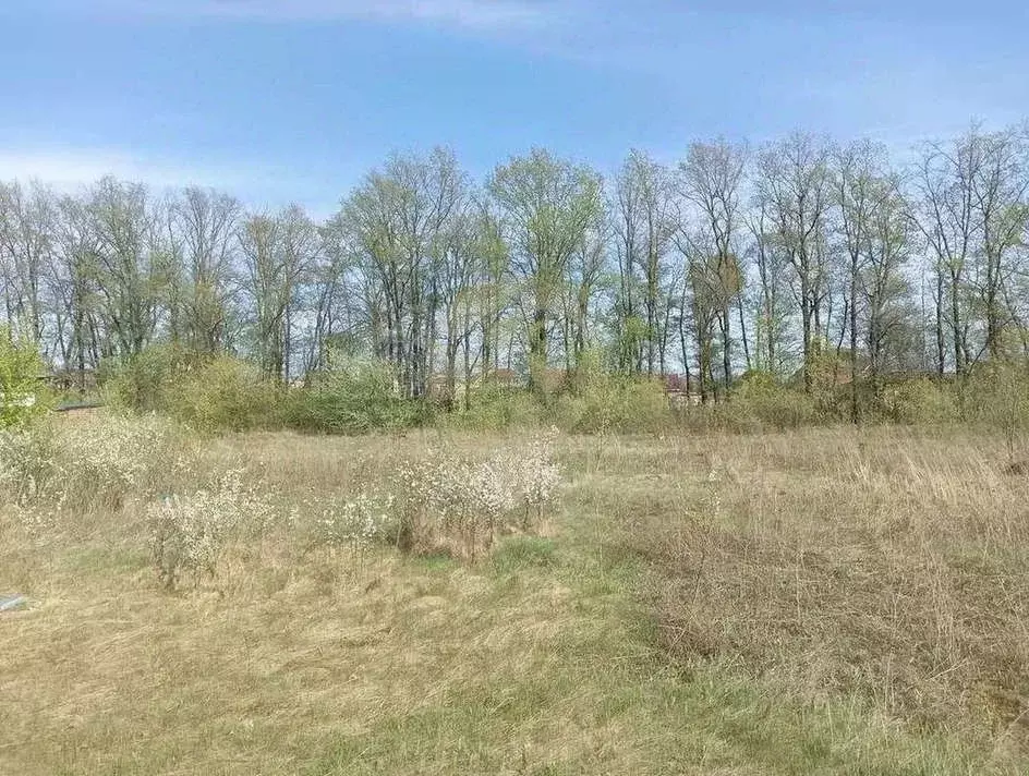 Участок в Белгородская область, Старый Оскол 7 (15.0 сот.) - Фото 2