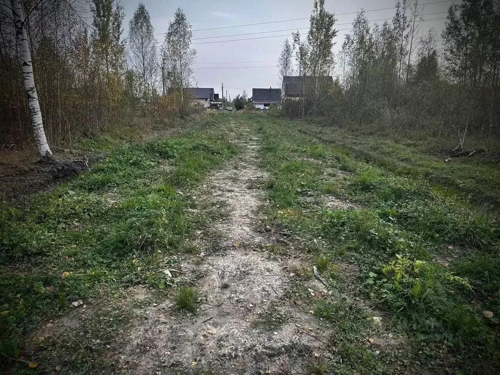 Участок в Новгородская область, Малая Вишера ул. Парковая, 3 (12.0 ... - Фото 1