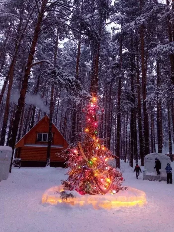 Дом в Башкортостан, Белорецк  (90 м) - Фото 2