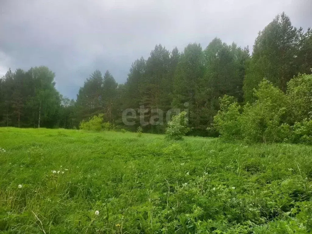 Участок в Кировская область, Киров городской округ, с. Бахта  (6.0 ... - Фото 2