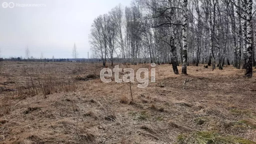 Участок в Репьевский сельсовет, деревня Шмаково, Южная улица (36 м) - Фото 0