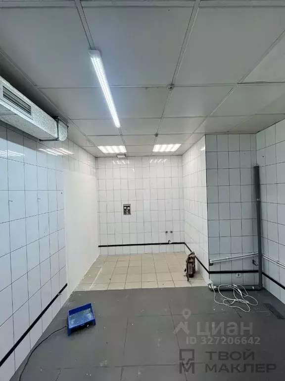 Торговая площадь в Пензенская область, Пенза ул. Гагарина, 9 (43 м) - Фото 2