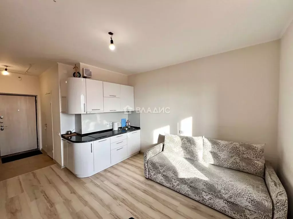 Студия Московская область, Люберцы городской округ, Мирный пгт ул. ... - Фото 1