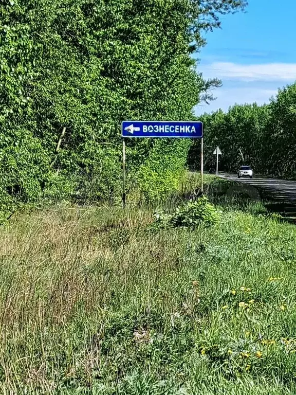 Участок 55 сот. (ИЖС) - Фото 0