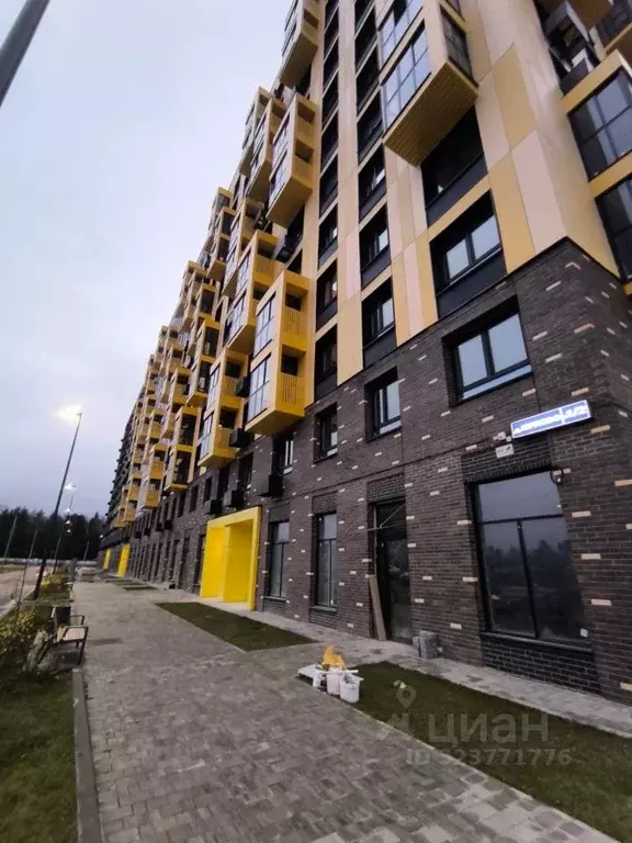 Студия Московская область, Химки городской округ, д. Юрлово к1/2 (22.0 ... - Фото 2