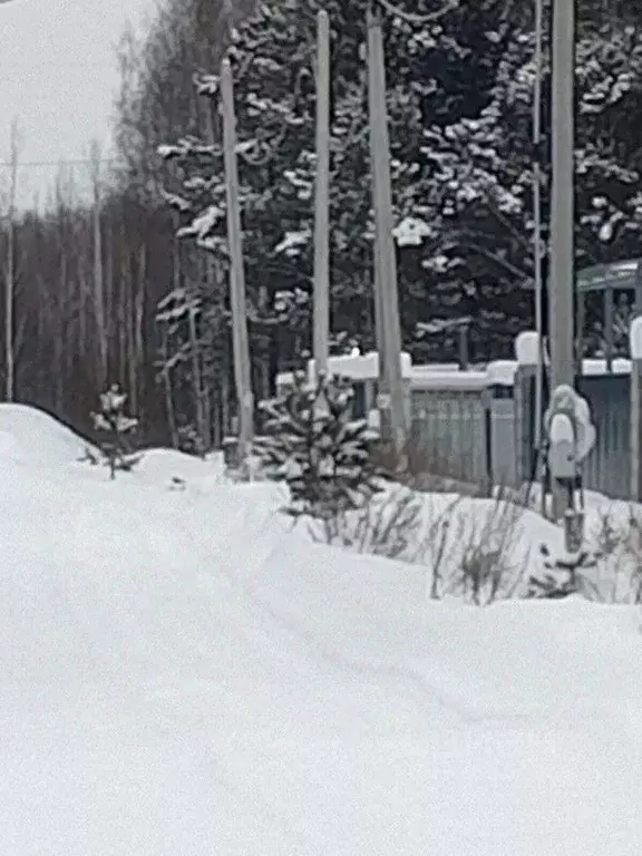 Участок в Свердловская область, Екатеринбург Парковый мкр,  (635.0 ... - Фото 2