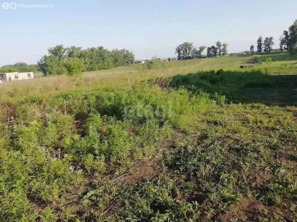 Участок в посёлок Пригородный, Новая улица (17 м) - Фото 2