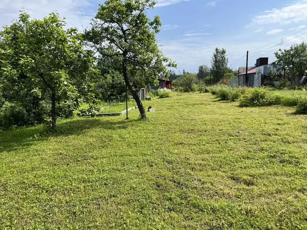 Участок в Ленинградская область, Выборг Лесное СНТ,  (7.0 сот.) - Фото 2