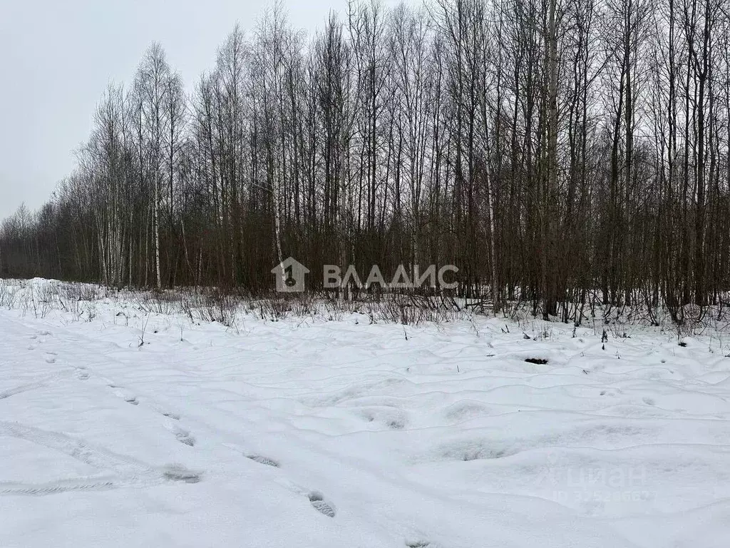 Участок в Нижегородская область, Нижний Новгород Тепличная ул. (39.0 ... - Фото 1