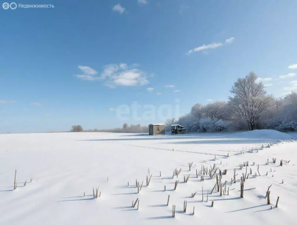 Участок в Ярославский муниципальный округ, деревня Кузнечиха ... - Фото 2